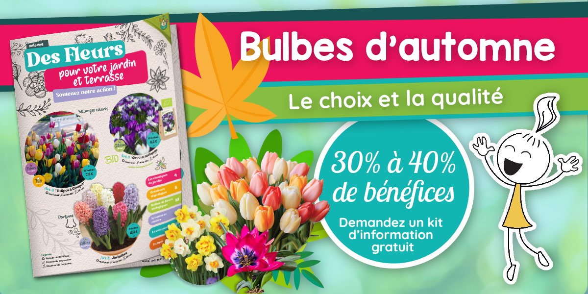 cmonecole fleursautomne